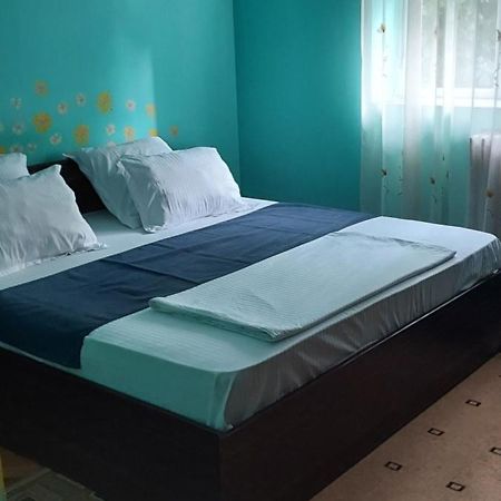 アラドApartament Gara Micaアパートメント エクステリア 写真