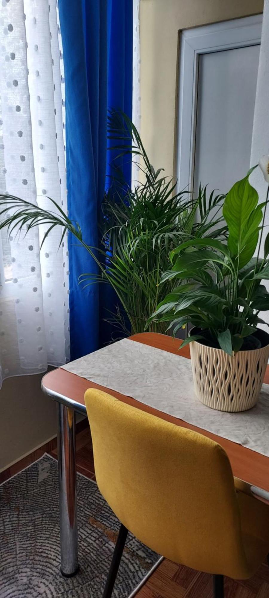 アラドApartament Gara Micaアパートメント エクステリア 写真