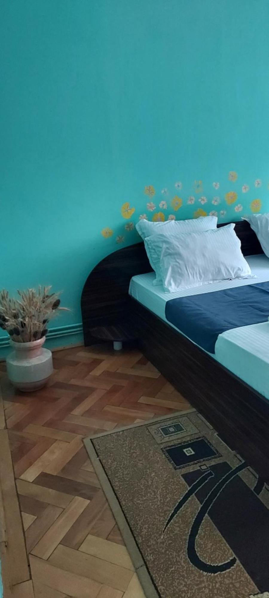 アラドApartament Gara Micaアパートメント エクステリア 写真